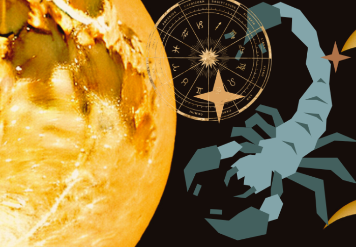 蠍座のシーズンがスタート