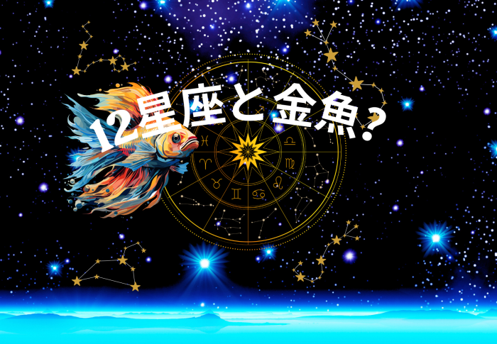 12星座との運勢？