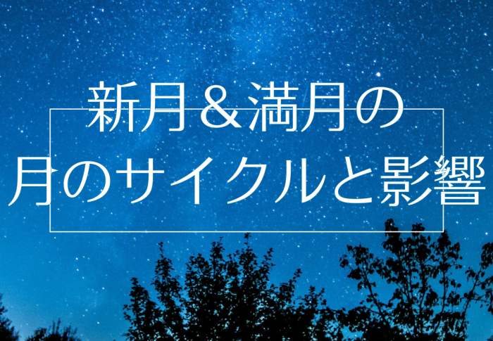 新月〜満月・サイクルと影響